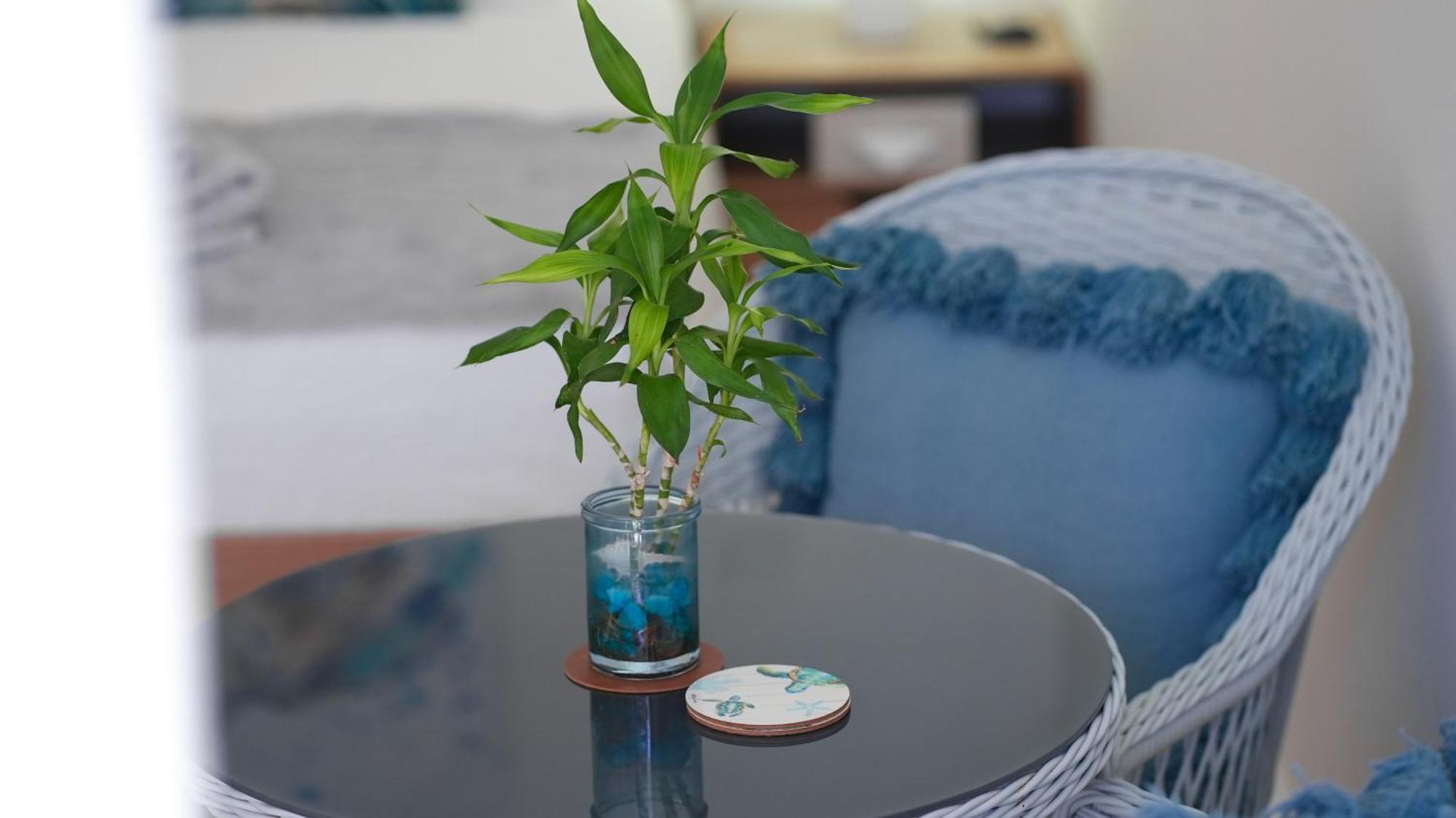 Seaturtle Apartment Clifton Beach Bagian luar foto